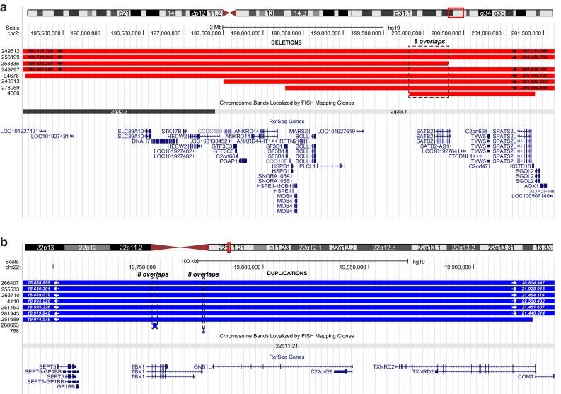 https://cdn.ncbi.nlm.nih.gov/pmc/blobs/0960/4698300/6e5e286058dc/439_2015_1606_Fig1_HTML.jpg