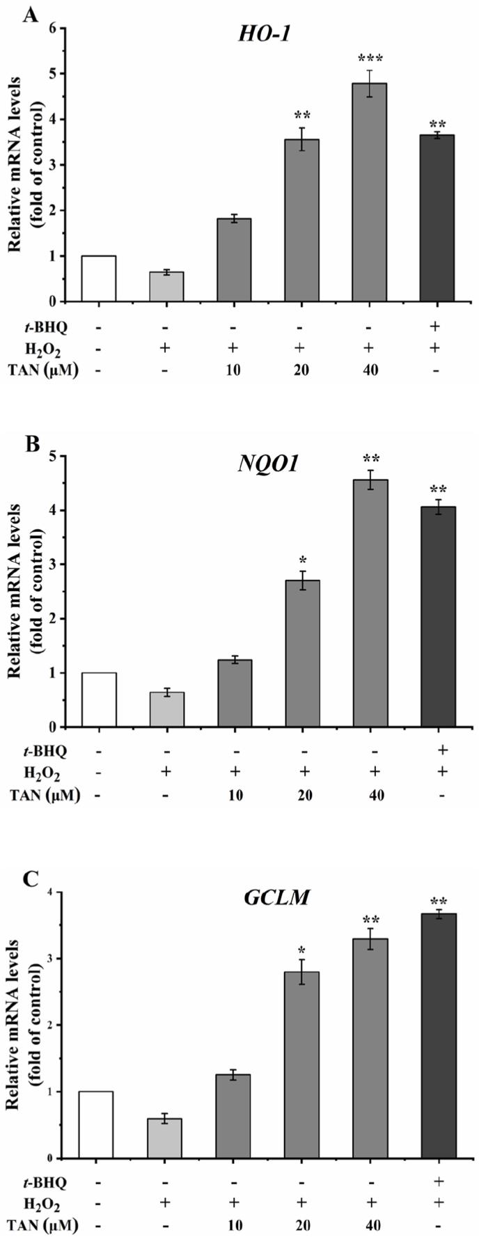 https://cdn.ncbi.nlm.nih.gov/pmc/blobs/0960/9945746/2a85a5c67392/gr7.jpg