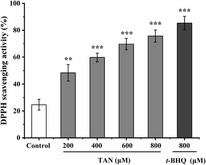 https://cdn.ncbi.nlm.nih.gov/pmc/blobs/0960/9945746/4ea05ebe66db/gr9.jpg