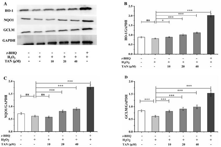 https://cdn.ncbi.nlm.nih.gov/pmc/blobs/0960/9945746/4f80b2165b96/gr8.jpg