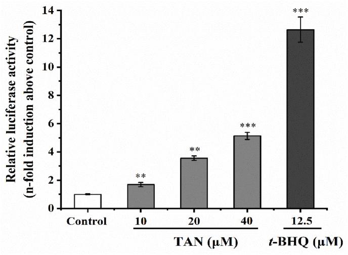 https://cdn.ncbi.nlm.nih.gov/pmc/blobs/0960/9945746/b3326f949d5c/gr6.jpg