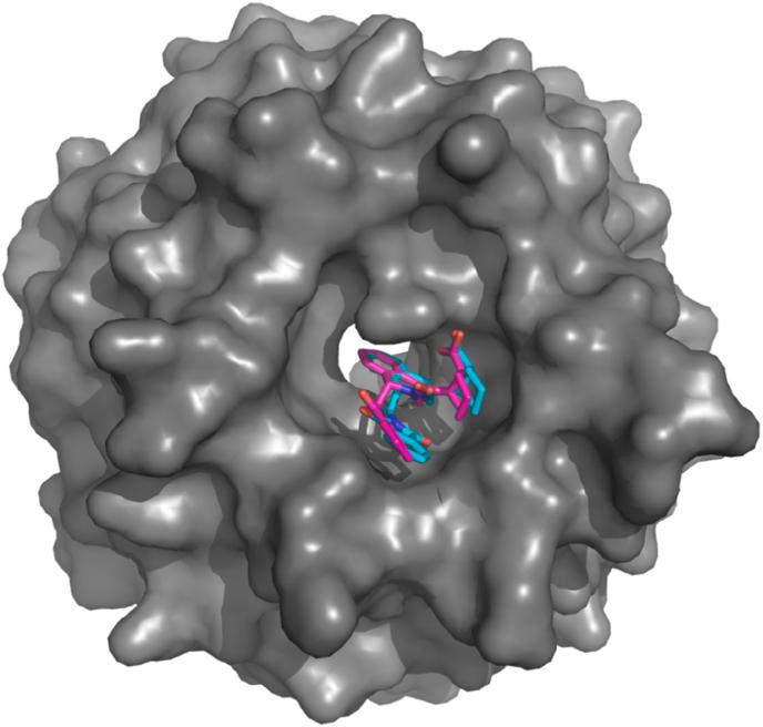 https://cdn.ncbi.nlm.nih.gov/pmc/blobs/0960/9945746/fab80fab5abe/gr2.jpg