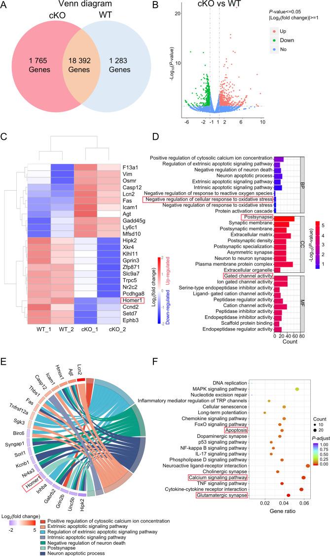 https://cdn.ncbi.nlm.nih.gov/pmc/blobs/0963/11890998/23d8ec0297c8/zr-46-1-87-6.jpg