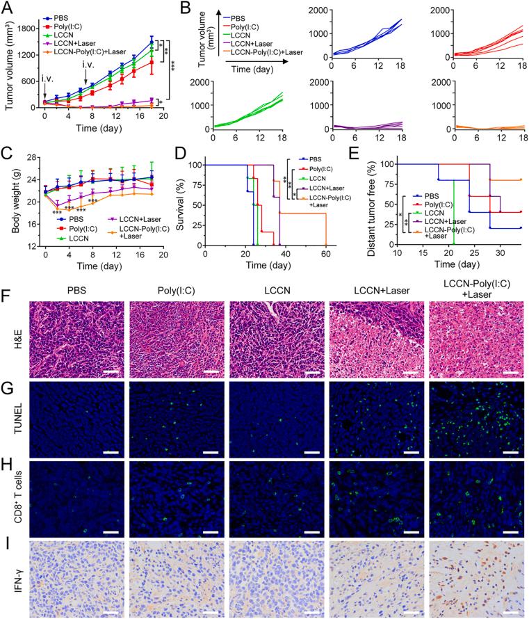 https://cdn.ncbi.nlm.nih.gov/pmc/blobs/0963/8800000/361abac6063c/gr4.jpg