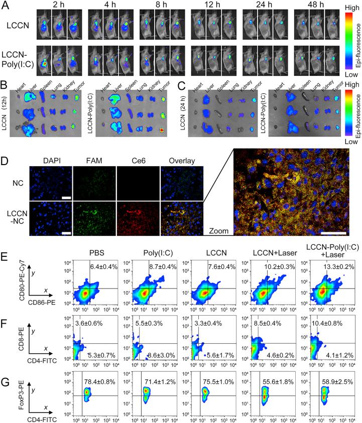 https://cdn.ncbi.nlm.nih.gov/pmc/blobs/0963/8800000/e8c0d1d24c65/gr3.jpg