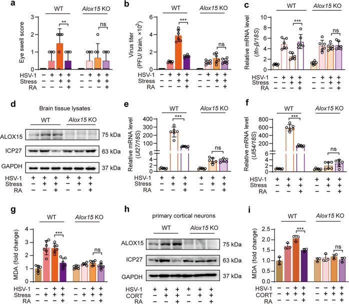 https://cdn.ncbi.nlm.nih.gov/pmc/blobs/0965/10462623/782e8d7746de/41401_2023_1095_Fig6_HTML.jpg