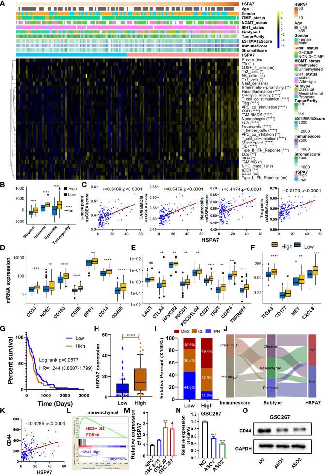 https://cdn.ncbi.nlm.nih.gov/pmc/blobs/0965/8329659/6b0fe4761195/fimmu-12-653711-g003.jpg