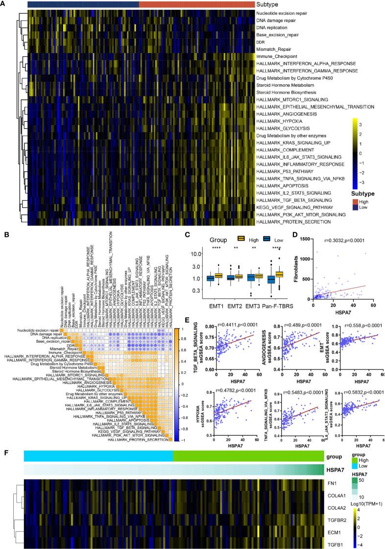 https://cdn.ncbi.nlm.nih.gov/pmc/blobs/0965/8329659/e42bce2d0ef2/fimmu-12-653711-g004.jpg