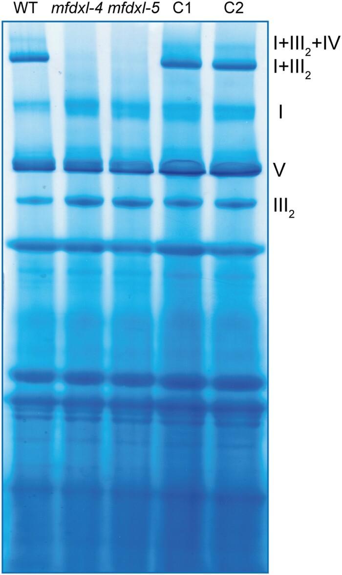 https://cdn.ncbi.nlm.nih.gov/pmc/blobs/0968/10069907/5b0c514ccae9/kiad040f4.jpg