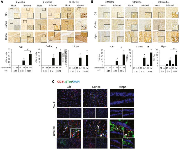 https://cdn.ncbi.nlm.nih.gov/pmc/blobs/0968/9630775/4af85369b4db/gr5.jpg