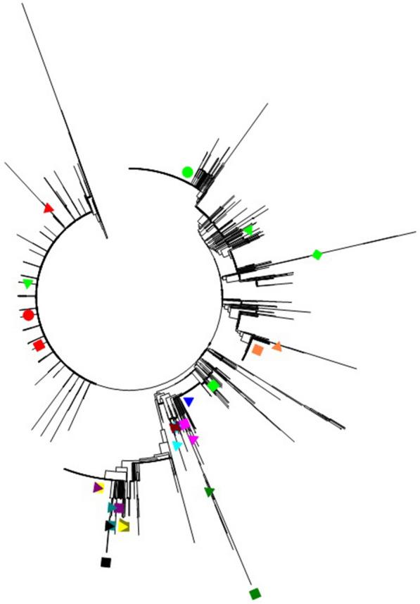 https://cdn.ncbi.nlm.nih.gov/pmc/blobs/096a/7429805/c6a036dc11f0/13099_2020_377_Fig3_HTML.jpg
