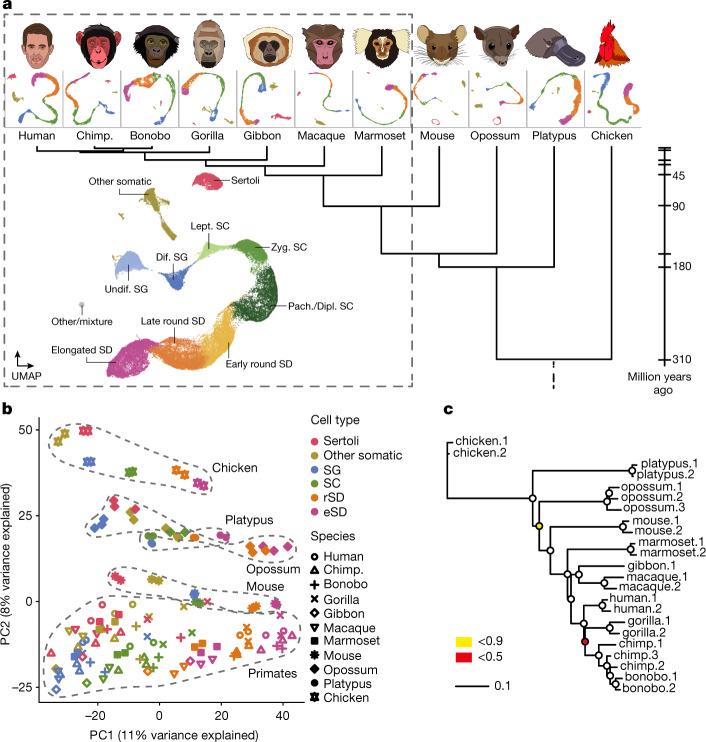 https://cdn.ncbi.nlm.nih.gov/pmc/blobs/096a/9834047/e8a10841262a/41586_2022_5547_Fig1_HTML.jpg