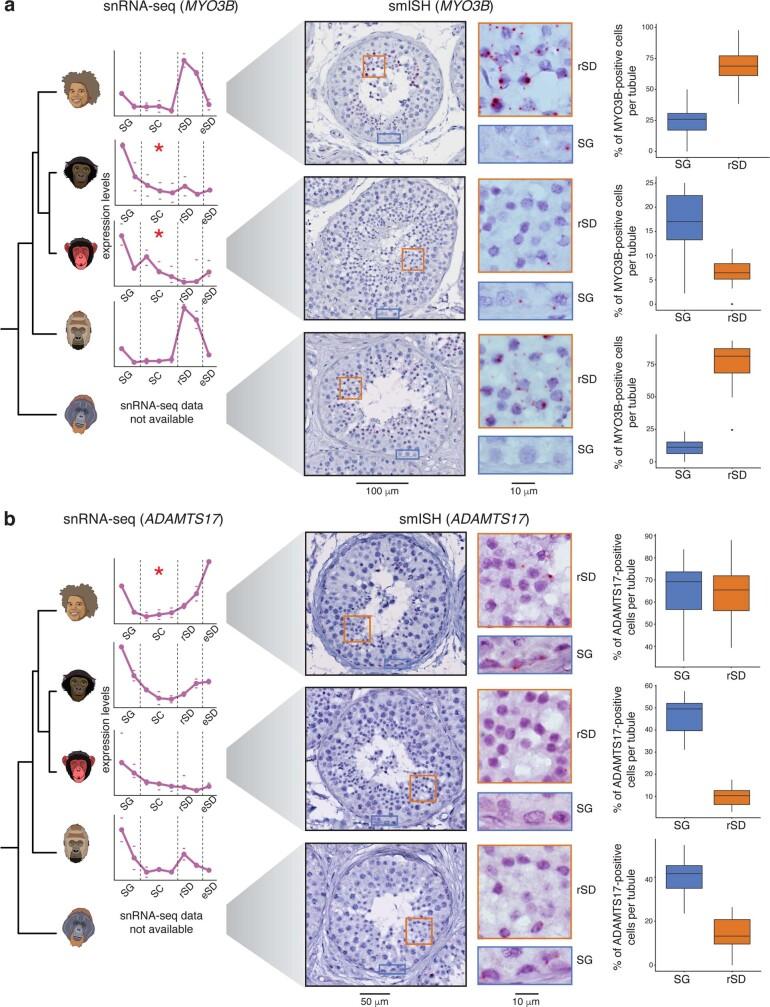 https://cdn.ncbi.nlm.nih.gov/pmc/blobs/096a/9834047/f1712a69fdfb/41586_2022_5547_Fig8_ESM.jpg