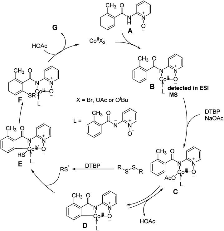 https://cdn.ncbi.nlm.nih.gov/pmc/blobs/096b/10895647/8c2d0d09f236/d3ra06391g-f3.jpg