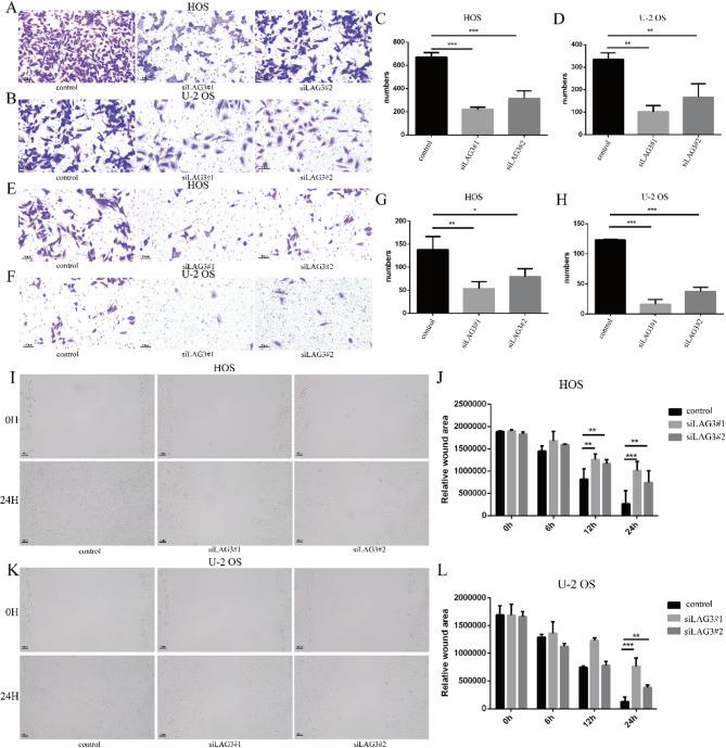 https://cdn.ncbi.nlm.nih.gov/pmc/blobs/096f/12254381/221710792241/41598_2025_10290_Fig15_HTML.jpg