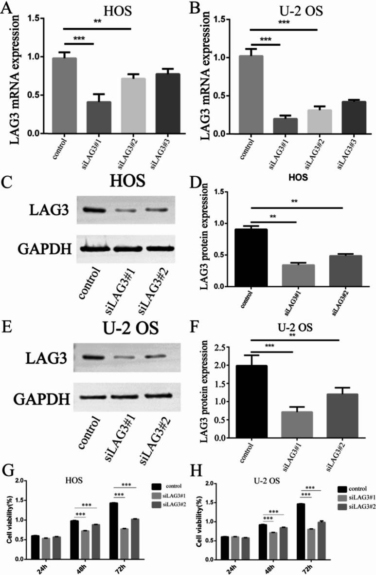https://cdn.ncbi.nlm.nih.gov/pmc/blobs/096f/12254381/f32059531782/41598_2025_10290_Fig14_HTML.jpg