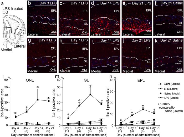 https://cdn.ncbi.nlm.nih.gov/pmc/blobs/0971/5599676/347657cc0430/41598_2017_10229_Fig5_HTML.jpg