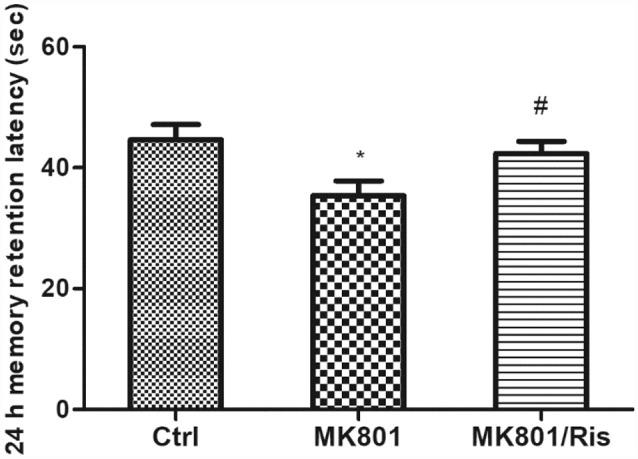 https://cdn.ncbi.nlm.nih.gov/pmc/blobs/0971/6664152/0181ea578094/fnbeh-13-00163-g0006.jpg