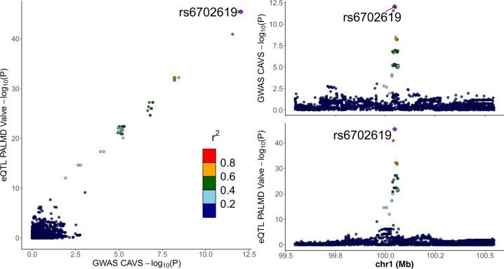 https://cdn.ncbi.nlm.nih.gov/pmc/blobs/0973/7455695/1094ded59094/42003_2020_1210_Fig2_HTML.jpg