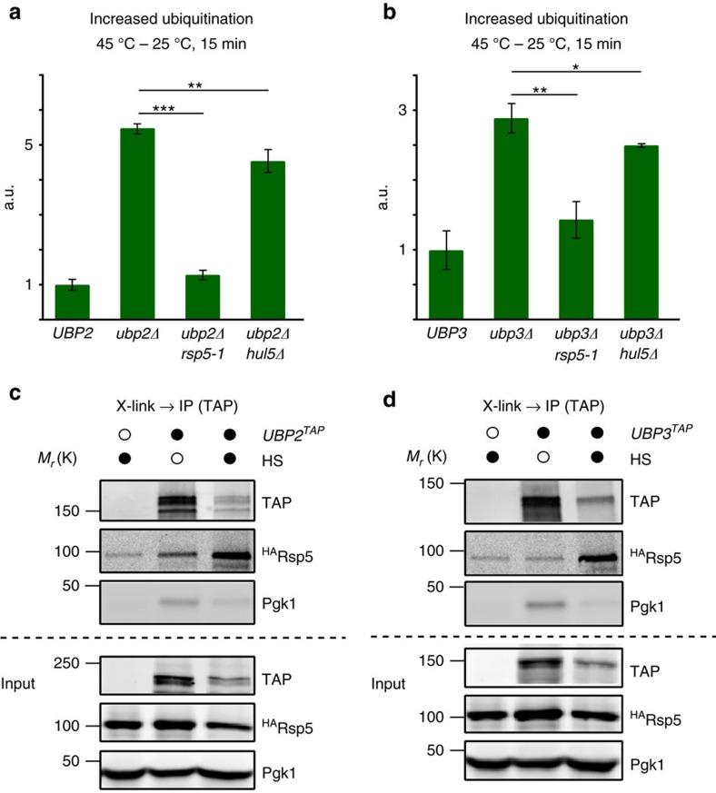 https://cdn.ncbi.nlm.nih.gov/pmc/blobs/0974/5059457/74b933e2f1b4/ncomms12907-f2.jpg