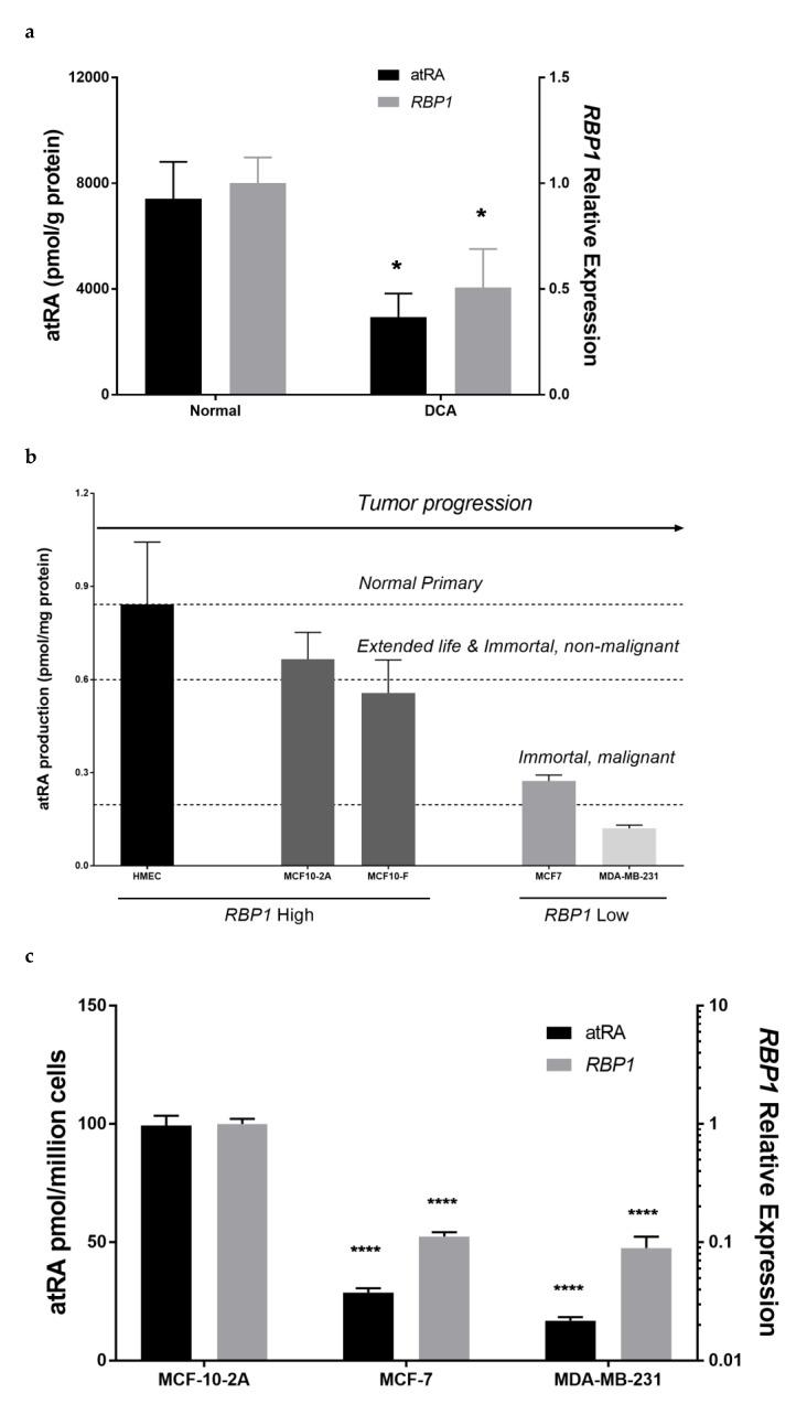 https://cdn.ncbi.nlm.nih.gov/pmc/blobs/0976/8909206/52f0cd88ae9f/cells-11-00792-g001a.jpg