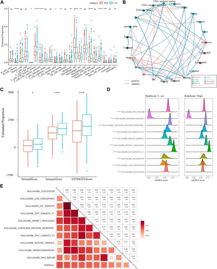 https://cdn.ncbi.nlm.nih.gov/pmc/blobs/0977/10119412/7a015c3969b8/fgene-14-1156230-g009.jpg