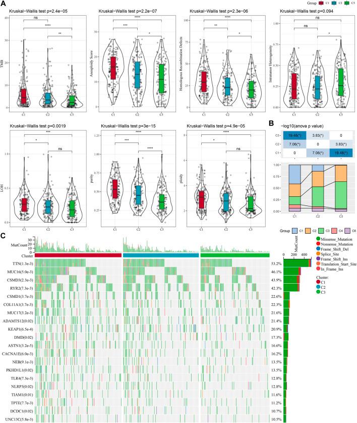 https://cdn.ncbi.nlm.nih.gov/pmc/blobs/0977/10119412/91051a337d13/fgene-14-1156230-g002.jpg
