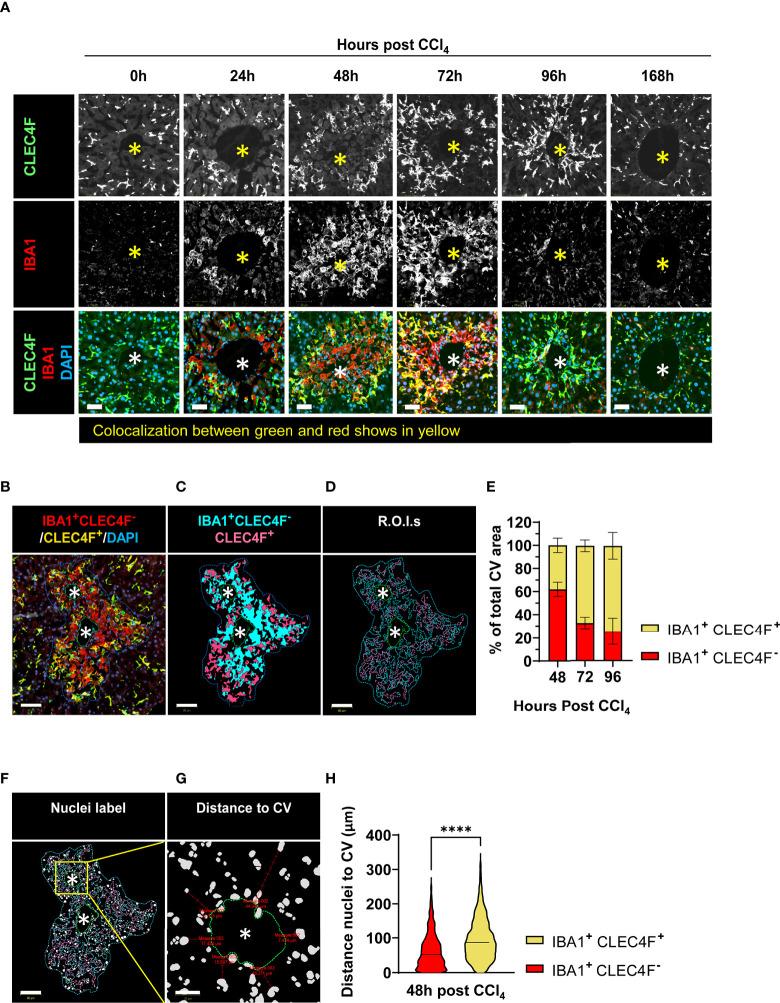 https://cdn.ncbi.nlm.nih.gov/pmc/blobs/0977/9562324/77f3469fa77a/fimmu-13-994480-g005.jpg