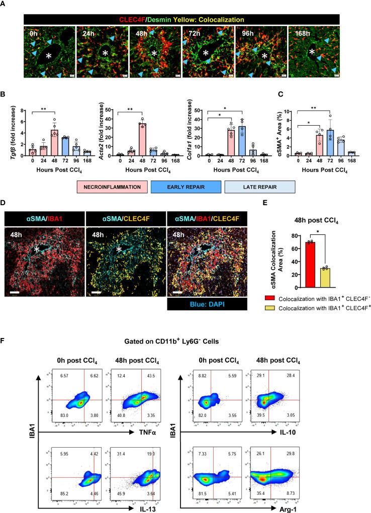 https://cdn.ncbi.nlm.nih.gov/pmc/blobs/0977/9562324/a4ac06816bc1/fimmu-13-994480-g008.jpg