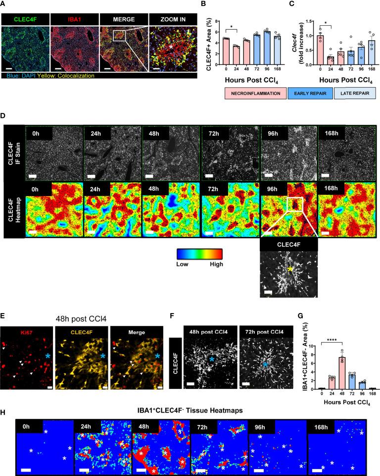 https://cdn.ncbi.nlm.nih.gov/pmc/blobs/0977/9562324/ce54a8bb5dac/fimmu-13-994480-g004.jpg