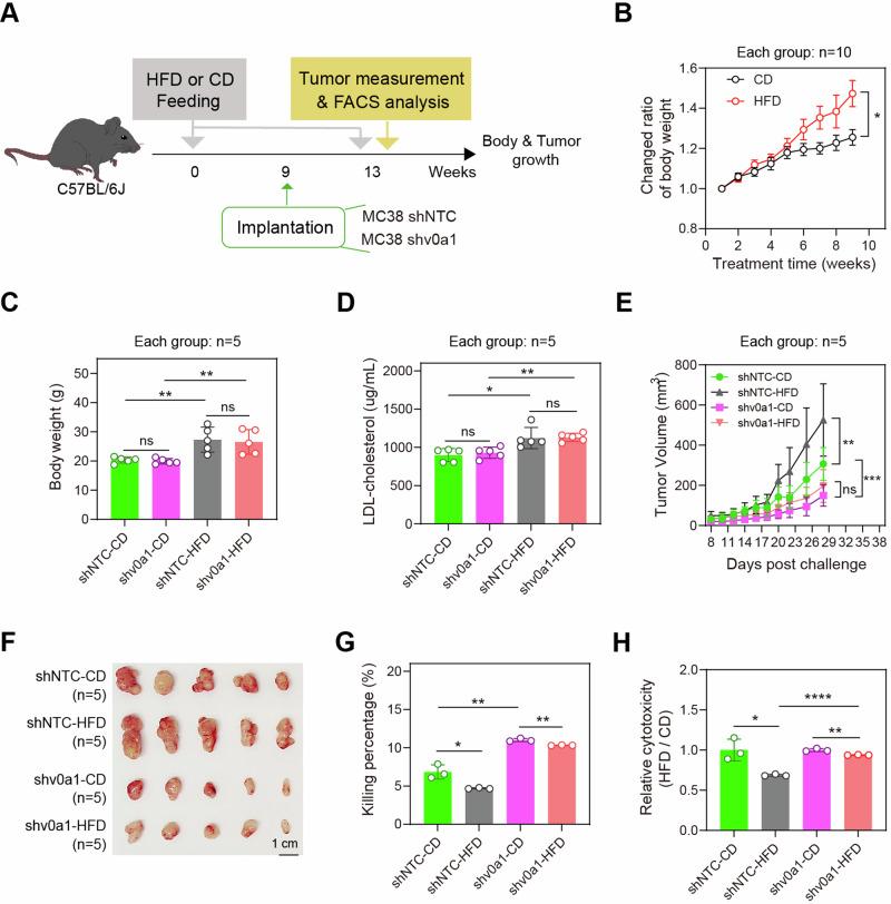 https://cdn.ncbi.nlm.nih.gov/pmc/blobs/097a/11227557/1949ee8a28a4/41467_2024_50077_Fig1_HTML.jpg
