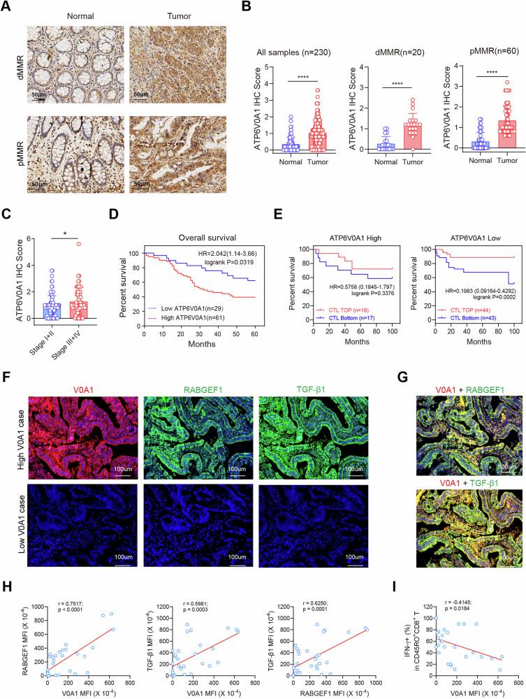 https://cdn.ncbi.nlm.nih.gov/pmc/blobs/097a/11227557/23d525a4b0ce/41467_2024_50077_Fig8_HTML.jpg