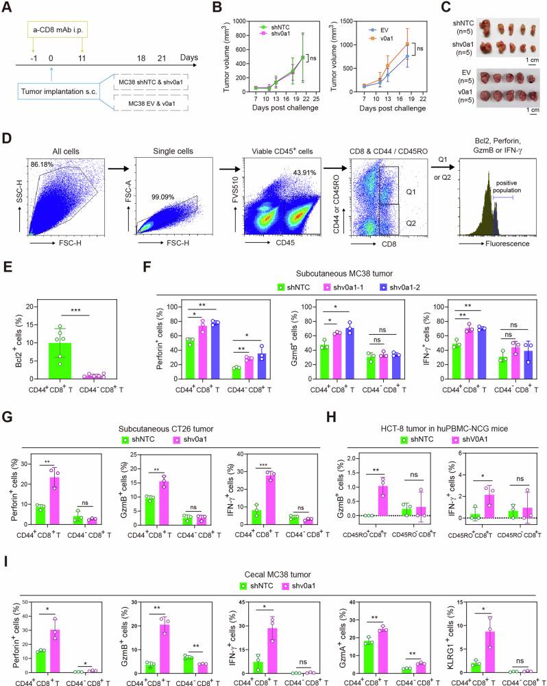 https://cdn.ncbi.nlm.nih.gov/pmc/blobs/097a/11227557/3393b5ada5e1/41467_2024_50077_Fig3_HTML.jpg