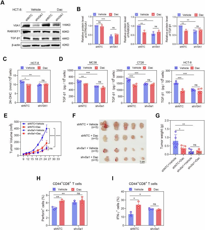https://cdn.ncbi.nlm.nih.gov/pmc/blobs/097a/11227557/a4d1ab4ed76a/41467_2024_50077_Fig10_HTML.jpg