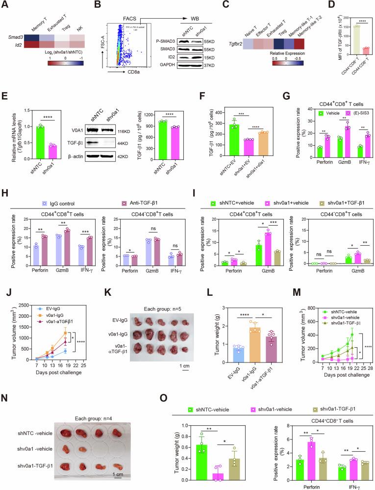 https://cdn.ncbi.nlm.nih.gov/pmc/blobs/097a/11227557/a5130053c66f/41467_2024_50077_Fig4_HTML.jpg