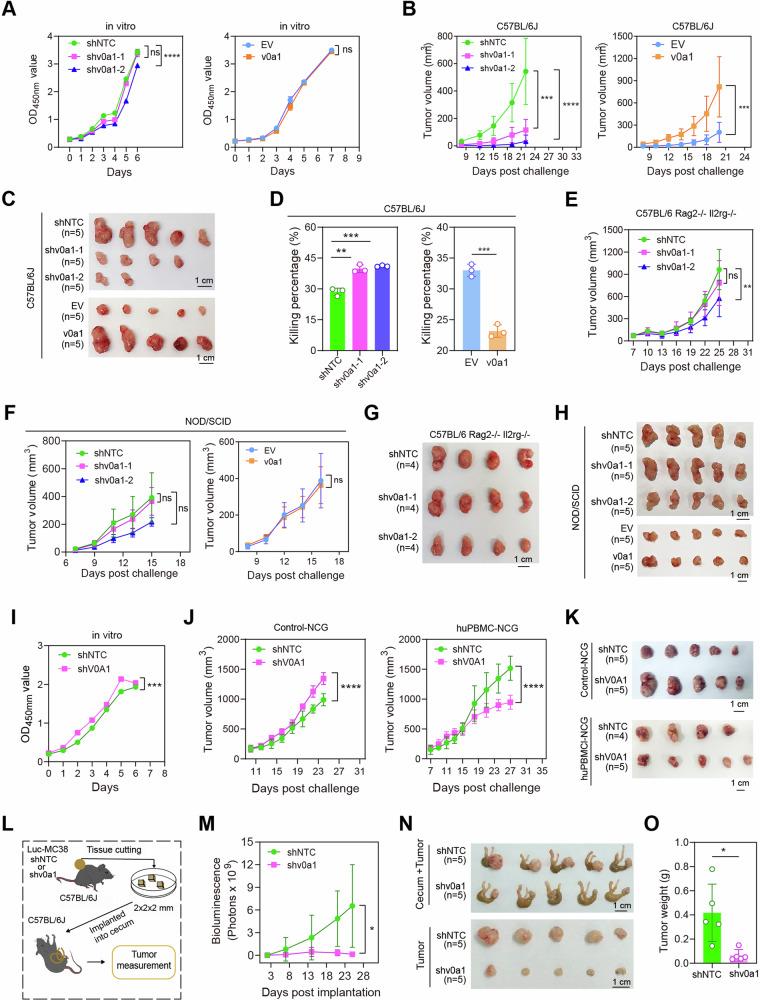 https://cdn.ncbi.nlm.nih.gov/pmc/blobs/097a/11227557/cc7e2fb332a2/41467_2024_50077_Fig2_HTML.jpg