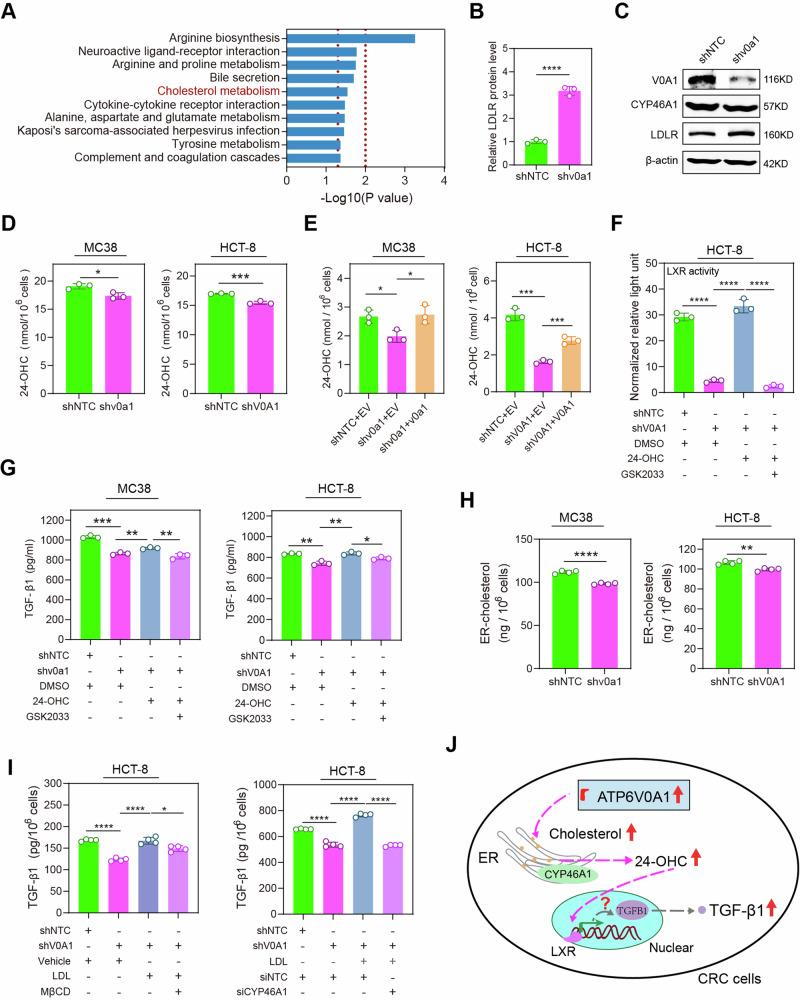 https://cdn.ncbi.nlm.nih.gov/pmc/blobs/097a/11227557/e1ca8fd49789/41467_2024_50077_Fig5_HTML.jpg
