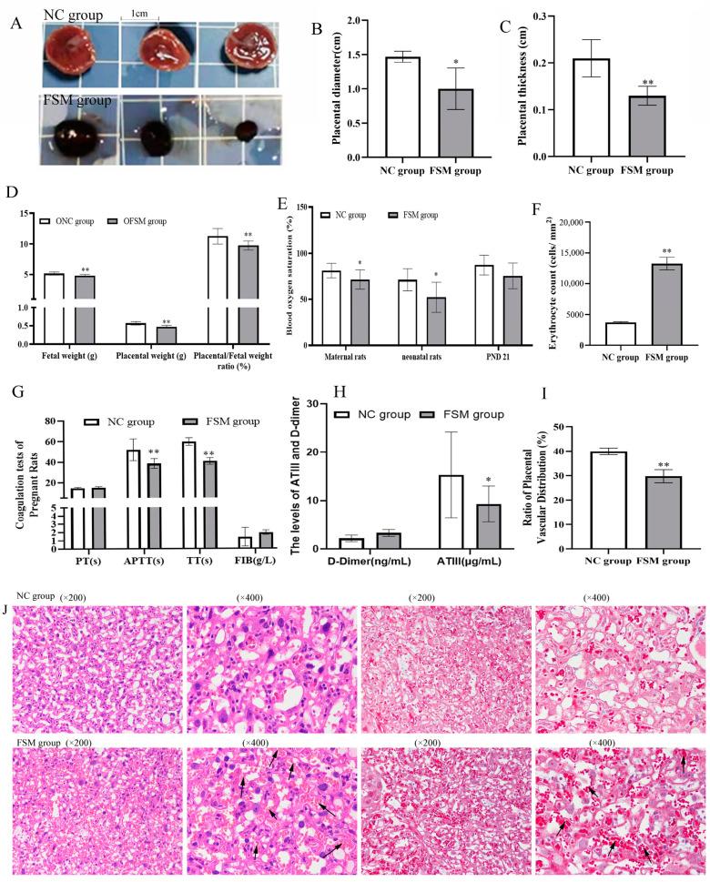 https://cdn.ncbi.nlm.nih.gov/pmc/blobs/097a/11432224/59703b3fa0be/ijms-25-09978-g002.jpg