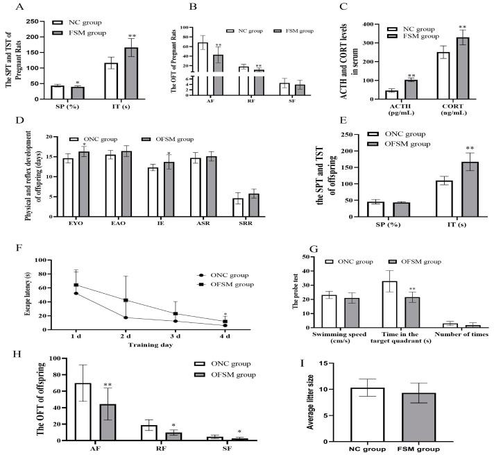 https://cdn.ncbi.nlm.nih.gov/pmc/blobs/097a/11432224/bc76e4867588/ijms-25-09978-g001.jpg
