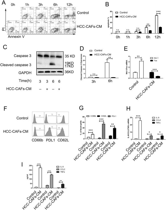 https://cdn.ncbi.nlm.nih.gov/pmc/blobs/097a/5859264/d232c704ee4b/41419_2018_458_Fig2_HTML.jpg