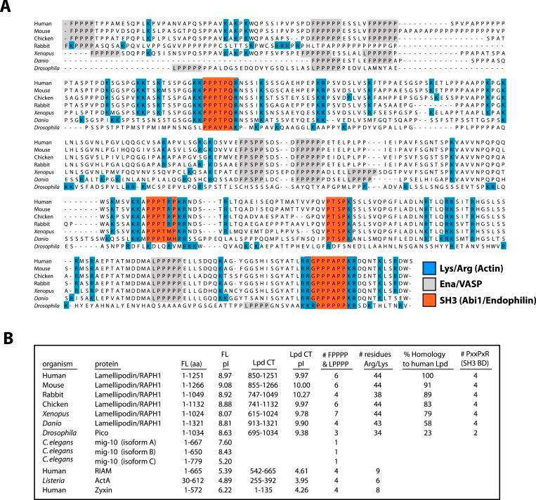 https://cdn.ncbi.nlm.nih.gov/pmc/blobs/097b/4543927/4eba7a10e8d4/elife06585f002.jpg