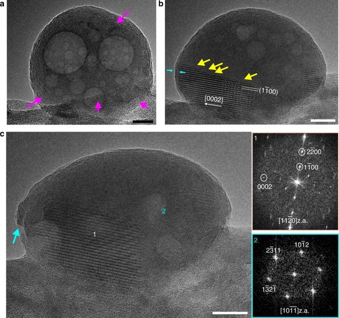 https://cdn.ncbi.nlm.nih.gov/pmc/blobs/097c/6177403/48d117fee64c/41467_2018_6570_Fig2_HTML.jpg