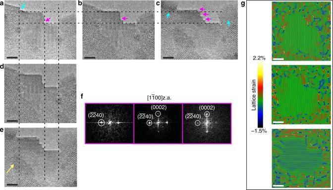 https://cdn.ncbi.nlm.nih.gov/pmc/blobs/097c/6177403/828b6cccc076/41467_2018_6570_Fig3_HTML.jpg