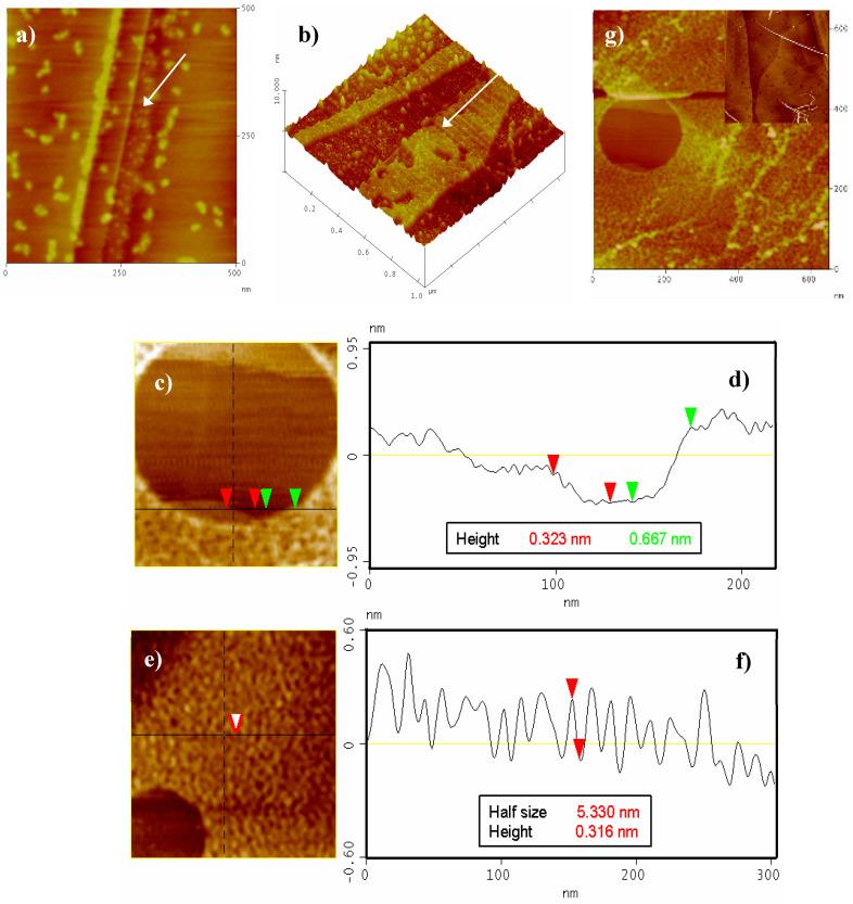 https://cdn.ncbi.nlm.nih.gov/pmc/blobs/097c/7663666/65ff6263d287/molecules-25-05038-g009.jpg