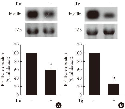 https://cdn.ncbi.nlm.nih.gov/pmc/blobs/097d/2972491/5cb2db8caa20/kdj-34-312-g001.jpg