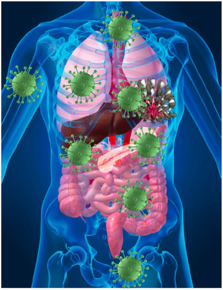 https://cdn.ncbi.nlm.nih.gov/pmc/blobs/097d/8159710/960e1a87f3de/gr2_lrg.jpg