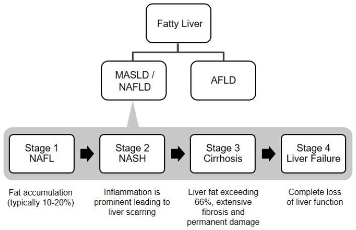 https://cdn.ncbi.nlm.nih.gov/pmc/blobs/097f/11940900/7c152d63c800/cimb-47-00159-g001.jpg