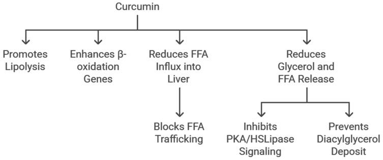 https://cdn.ncbi.nlm.nih.gov/pmc/blobs/097f/11940900/ce3e4747a9b3/cimb-47-00159-g005.jpg