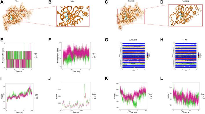 https://cdn.ncbi.nlm.nih.gov/pmc/blobs/0983/10116042/6926e064244f/fgene-14-1125473-g005.jpg