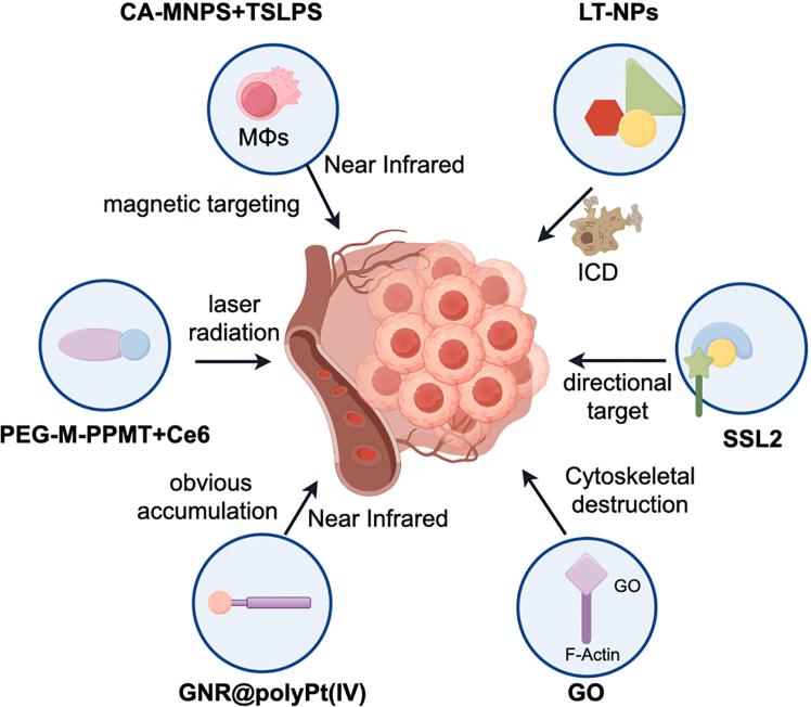 https://cdn.ncbi.nlm.nih.gov/pmc/blobs/0983/11780121/a8da16f208e4/gr1.jpg